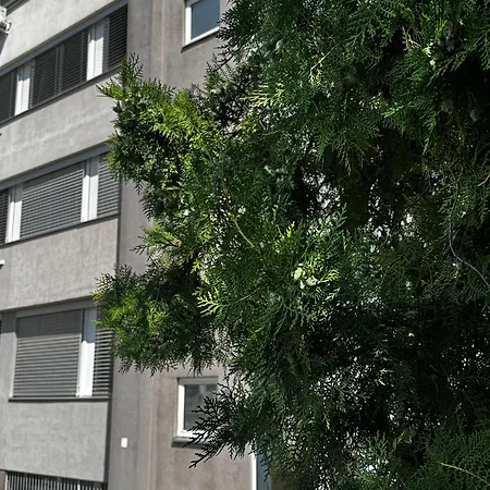 Stromova - Two Bedroms * Bratislava